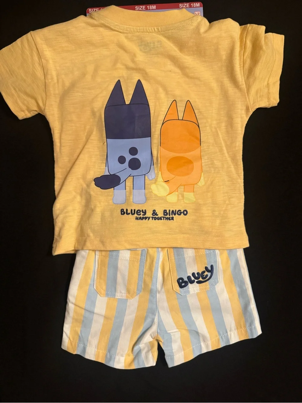 Bluey official short